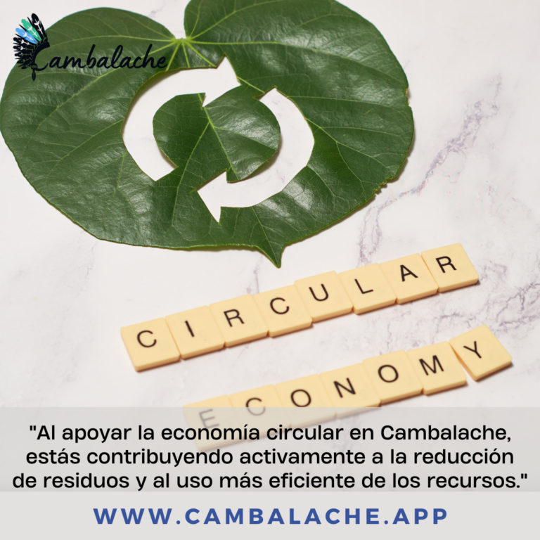 “Adaptándose a la Realidad Económica: Cómo la Inflación Impacta tu Bolsillo con Cambalache”
