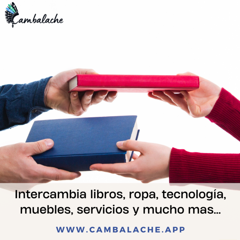 Servicios sin Dinero: Cómo Obtener Asesoramiento Profesional Utilizando tus Bienes como Forma de Pago